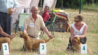 De La Forêt Des Sources - Spéciale élevage de Nimes le 22/05/2011