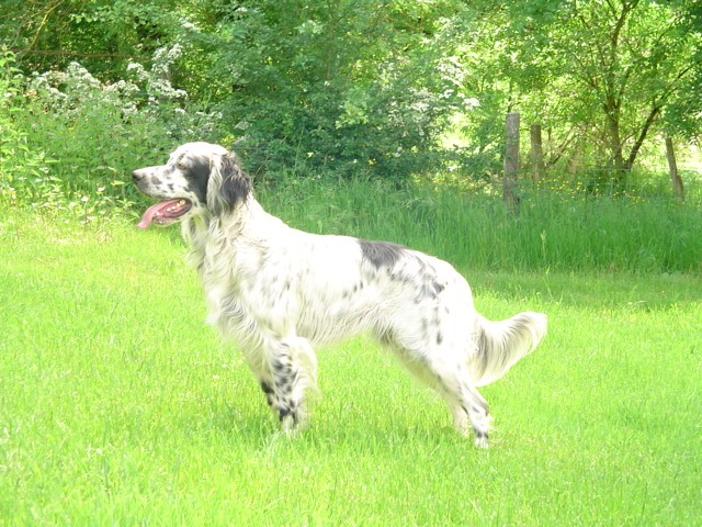 Etan des bords de Cère